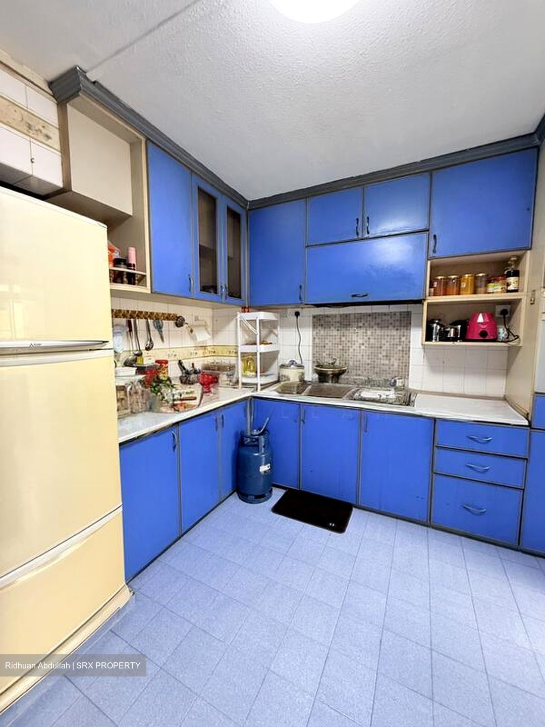 Blk 259 Bukit Panjang New Town (Bukit Panjang), HDB 5 Rooms #524526951